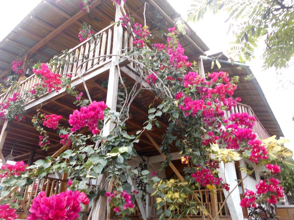 Maremonti Bed & Breakfast Puerto López Zewnętrze zdjęcie