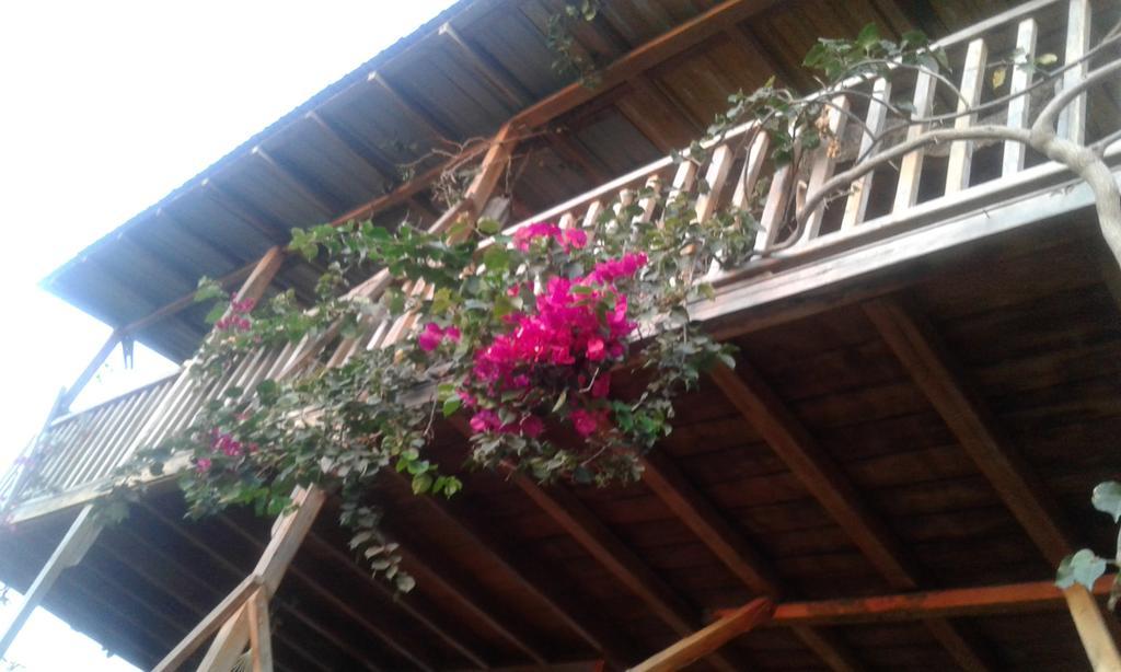 Maremonti Bed & Breakfast Puerto López Zewnętrze zdjęcie